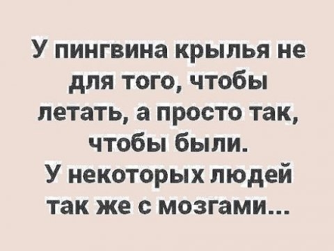 У пингвина крылья не для того чтобы летать а просто так чтобы были У некоторых людей так же с мозгами