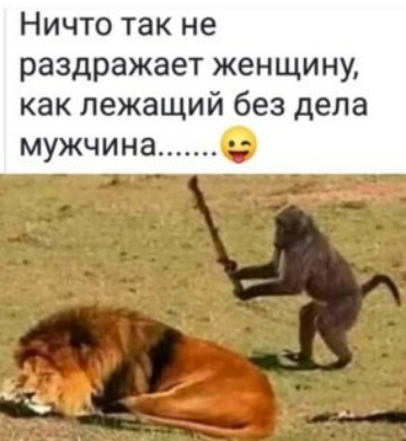 Ничто так не раздражает женщину как лежащий без дела мужчина