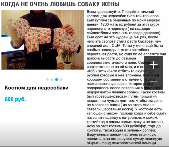 КОГДА НЕ ОЧЕНЬ ЛЮБИШЬ СОБАКУ ЖЕНЫ Костюм для недособаки труб Всем Здравствуйте Продается зимнии костюм шт недособак типа тоитерьеров Бып куплен за бешенные ло моим меркам деньги 1200 мать их рублей за этот кусок поролона это чересчур на паджеро сайлентблоки поменять гораздо дешевле Был одет на зто чудовище 576 раз после чего эта сволота стала расти быстрее нем внешний долг США Тогда у меня еще был