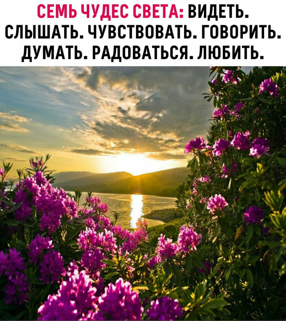 СЕМЬ ЧУДЕС СВЕТА ВИДЕТЬ СЛЫШАТЬ ЧУВСТВОВАТЬ ГОВОРИТЬ ДУМАТЬ_ РАДОВАТЬСЯ ЛЮБИТЬ 33