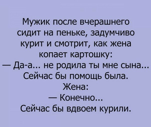 Мужик после вчерашнего СИДИТ НЭ пеньке ЗЭДУМЧИВО курит и смотрит как жена копает картошку Да а не родила ты мне сына Сейчас бы помощь была Жена Конечно Сейчас бы вдвоем курили