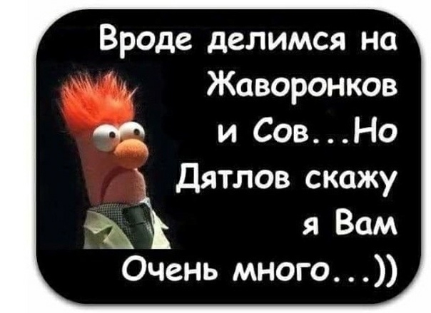 Вроде делимся на Жаворонков М и Сов Но Дятлов скажу уаз я Вам Очень много