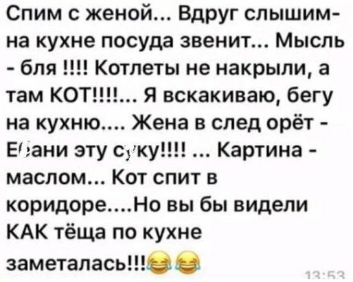 Спим с женой Вдруг слышим на кухне посуда звенит Мысль бля Котлеты не накрыли а там КОТ Я вскакиваю бегу на кухню Жена в след орёт Егани эту суку Картина маслом Кот спит в коридореНо вы бы видели КАК тёща по кухне заметалась