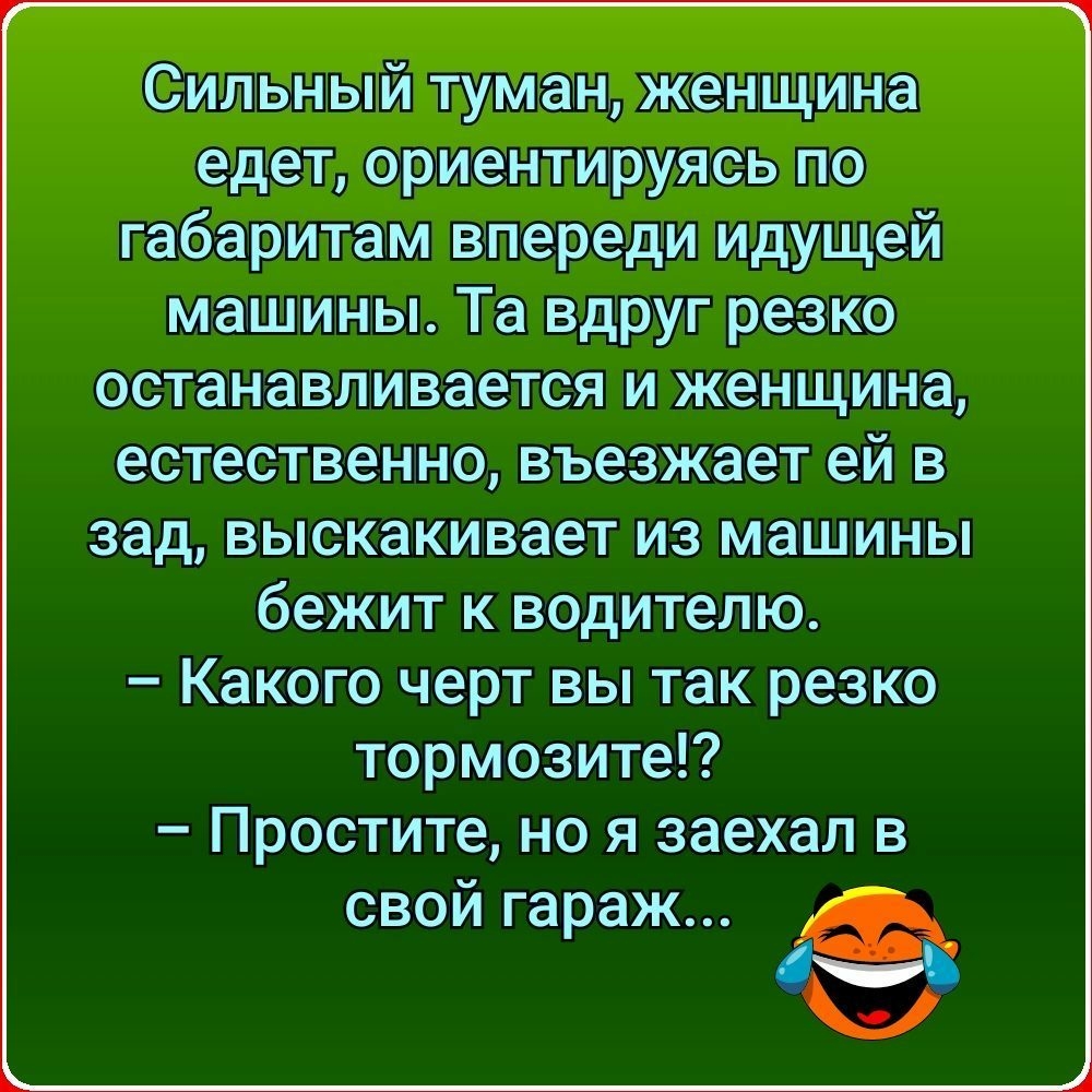 Сильный туман жетнщіиэна едет ориентируясь по габаритам впереди идущей машины Та вдруг резко останавливается и женщина естественно въезжает ей в зад выскакивает из машины бежит к водителю Какого черт вы так резко тормозите Простите но я заехал в свой гараж К