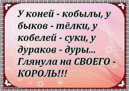 У коней кобылы у быков тёлки у кобелей суки у дУраков дуры Глянула на СВОЕГО КОРОЛЬ