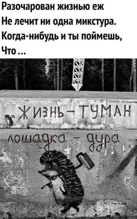 Разочарован жизнью еж Не лечит ни одна микстура Когда нибудь и ты поймешь Что