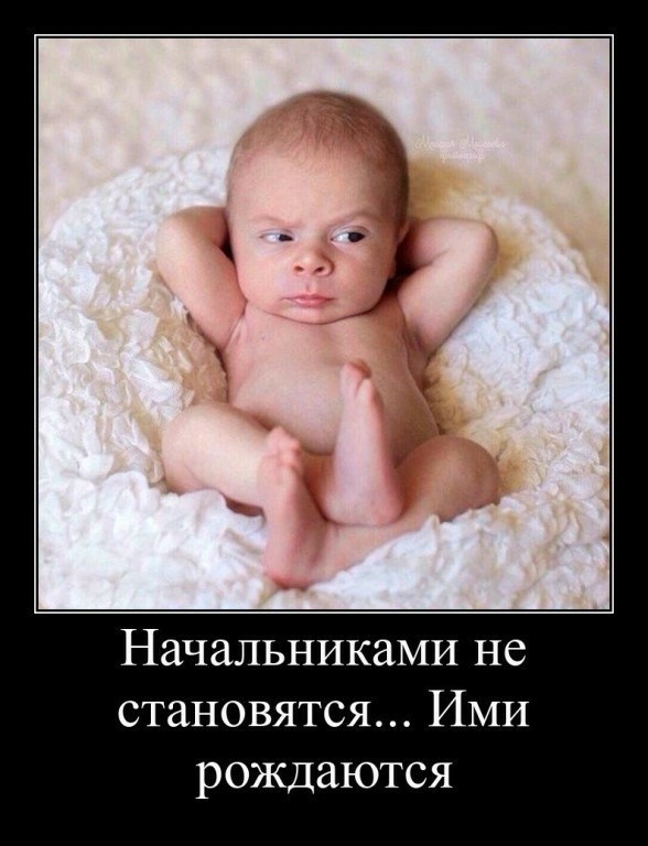 Начальниками не становятся Ими рождаются