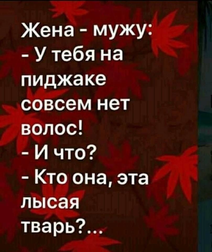 Жена мужу У тебя на пи жаке соьёсем нет Ждлос И что 0 она эта тварь