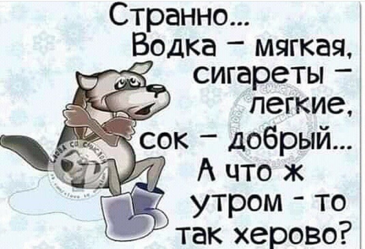 Странно Водка мягкая сигареты Ё Ё легкие Ё А что ж утром то так херовоЁ