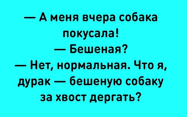 А меня вчера собака покусала Бешеная Нот нормальная Что я дурак _ бешеную собаку зо хвост дергать