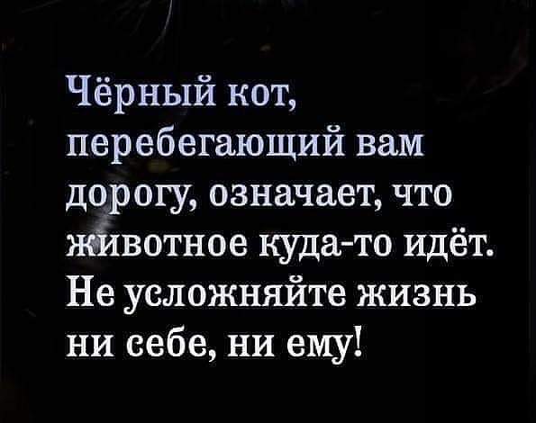 Чёрный кот перебегающий вам дорогу означает что нейхвотное куда то идёт Не усложняйте жизнь ни себе ни ему