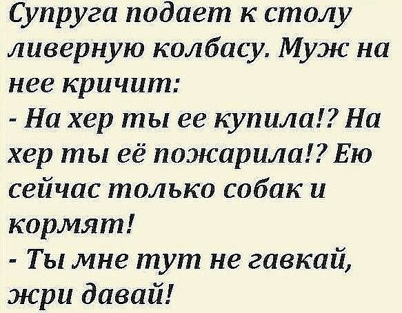 Супруга подает к столу лазерную колбасу Муж на нее кричит На хер ты ее купила На хер ты её пожарила Ею сейчас только собак и кормят Т Ь мне тут не гавкай жри давай