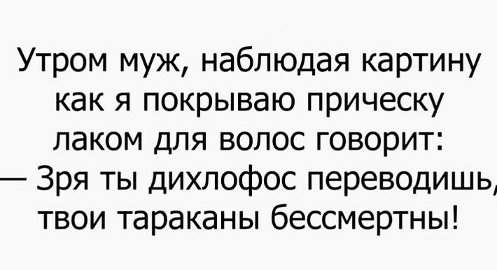 Утром муж наблюдая картину как я покрываю прическу лаком для волос говорит Зря ты дихлофос переводишь твои тараканы бессмертны
