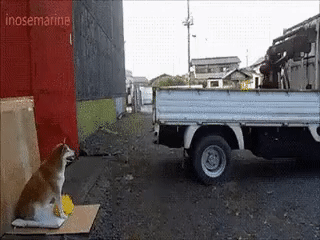 шовешауіпв
