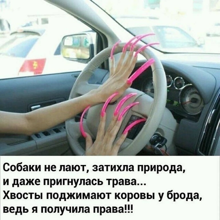 Собаки не лают затихла природа и даже пригнулась трава Хвосты поджимают коровы у брода ведь я получила права