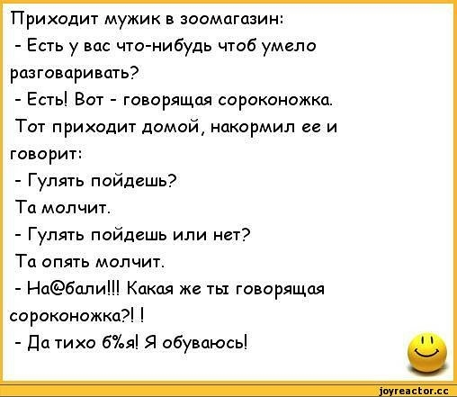 Анекдот № Собралась как-то веселая компания. Сидят, болтают. У кого-то…