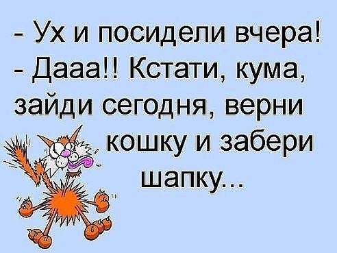 Ух и посидели вчера ДаааН Кстати кума зайди сегодня верни кошку и забери шапку