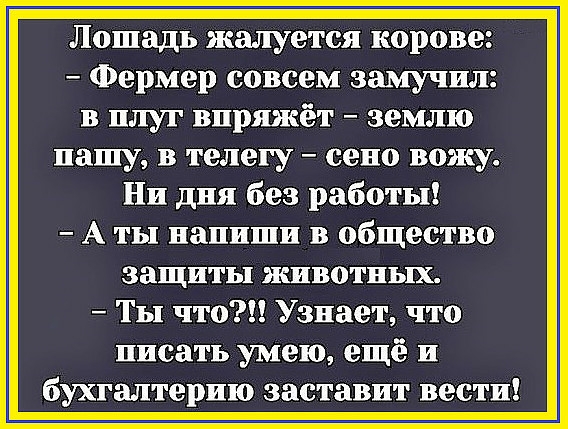 Лошадь жалуется корове Фермер совсем замучил в плуг виряжёт землю иашу в телегу сено вожу Ни дня без работы А ты напиши в общество защиты животных ТЫ что Узнает что писать умею ещё и бухгалтерию заставит вести