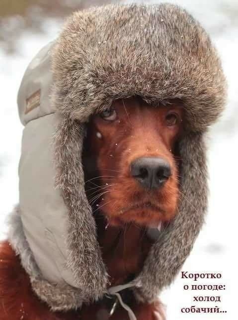Короп 0 ПОГОДЕ