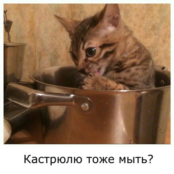 Кастрюлю тоже мыть
