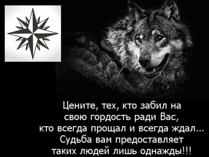 Цените тех кто забил на свою гордость ради Вас КТО всегда прощал И всегда ждал Судьба вам предоставляет таких людей лишь однажды