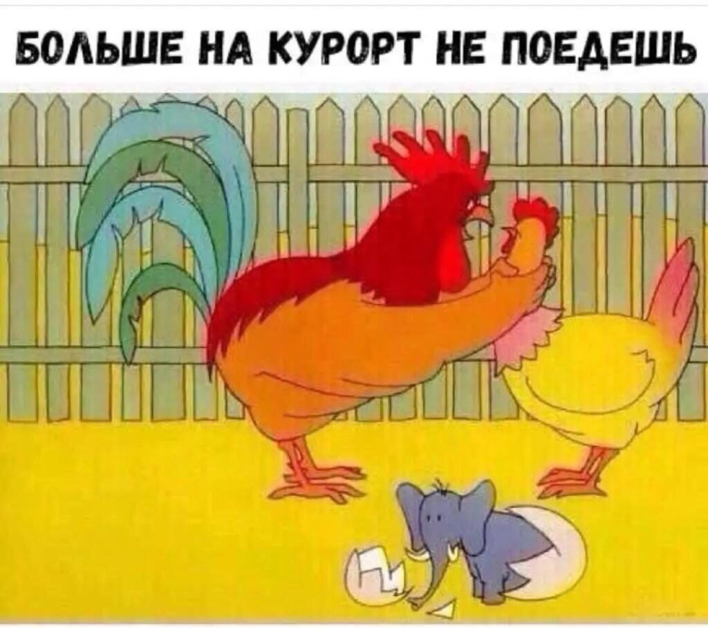 БОАЬШЕ НА КУРОРТ НЕ ПОЕАЕШЬ