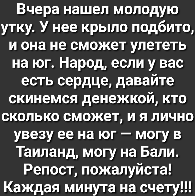 Вчера нашел молодую утку У нее крыло подбито и она не сможет улететь на юг Народ если у вас есть сердце давайте скинемся денежкой кто сколько сможет и я лично увезу ее на юг могу в Таиланд могу на Бали Репост пожалуйста Каждая минута на счету