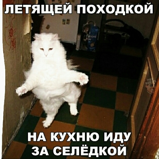 лвгіщвй походкой НА кухню иду ЗА сепЁдкой
