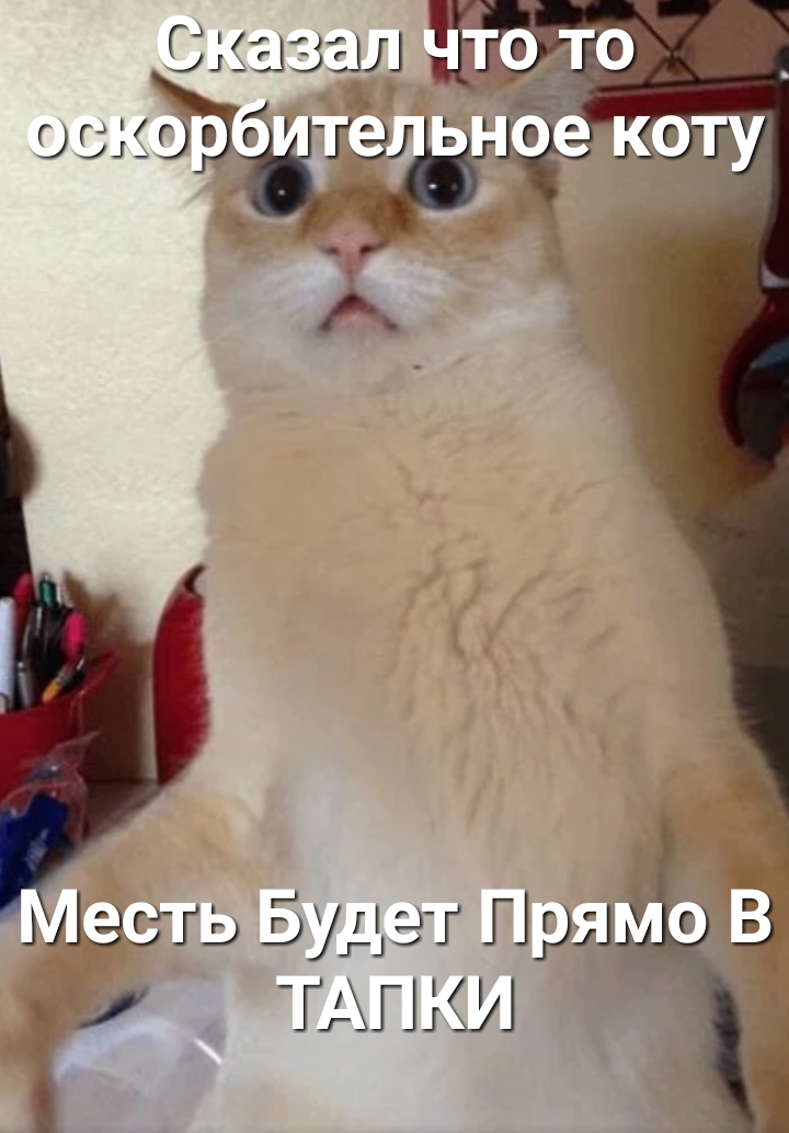 Сііызгш __ _ 3533 Г ГЗ ШэдгьвупэгПрлі ТАНКИ