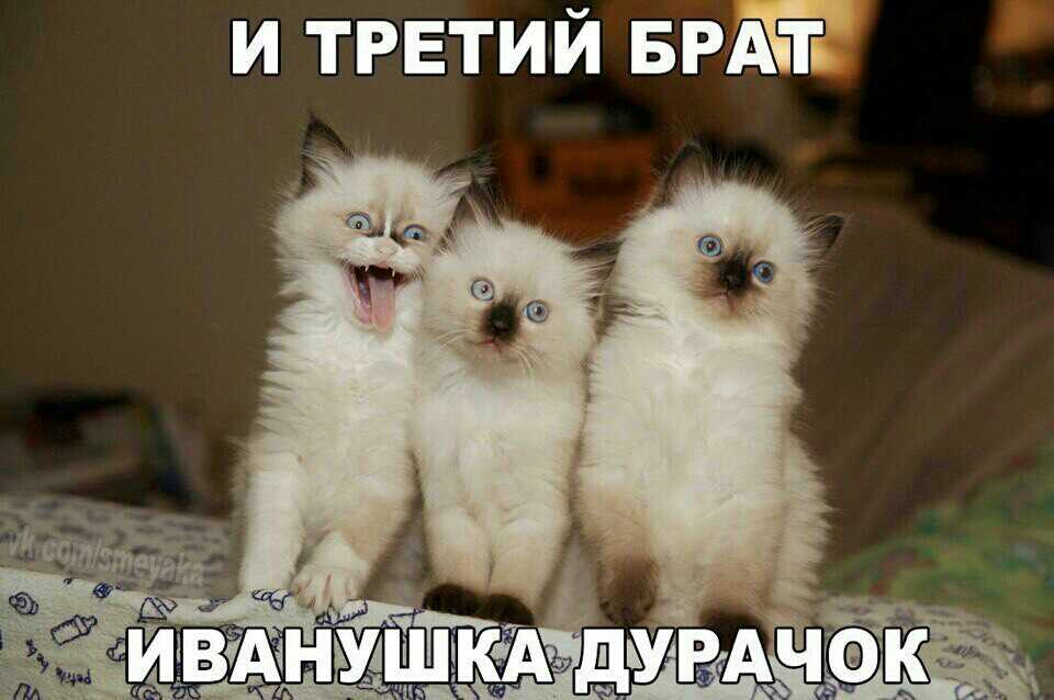и тгвтий БРАЁ