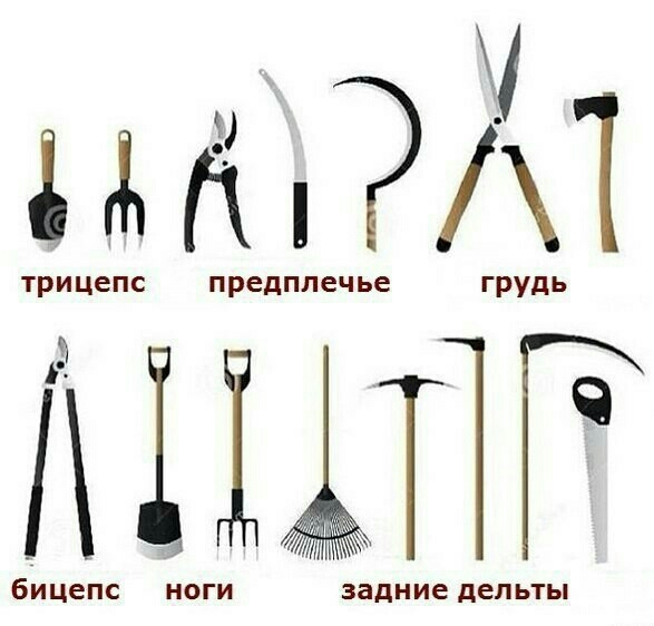 Т 1 і
