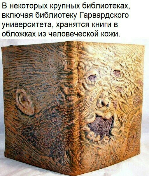В некоторых крупных библиотеках включая библиотеку Гарвардского университета хранятся книги в обложках из человеческой кожи