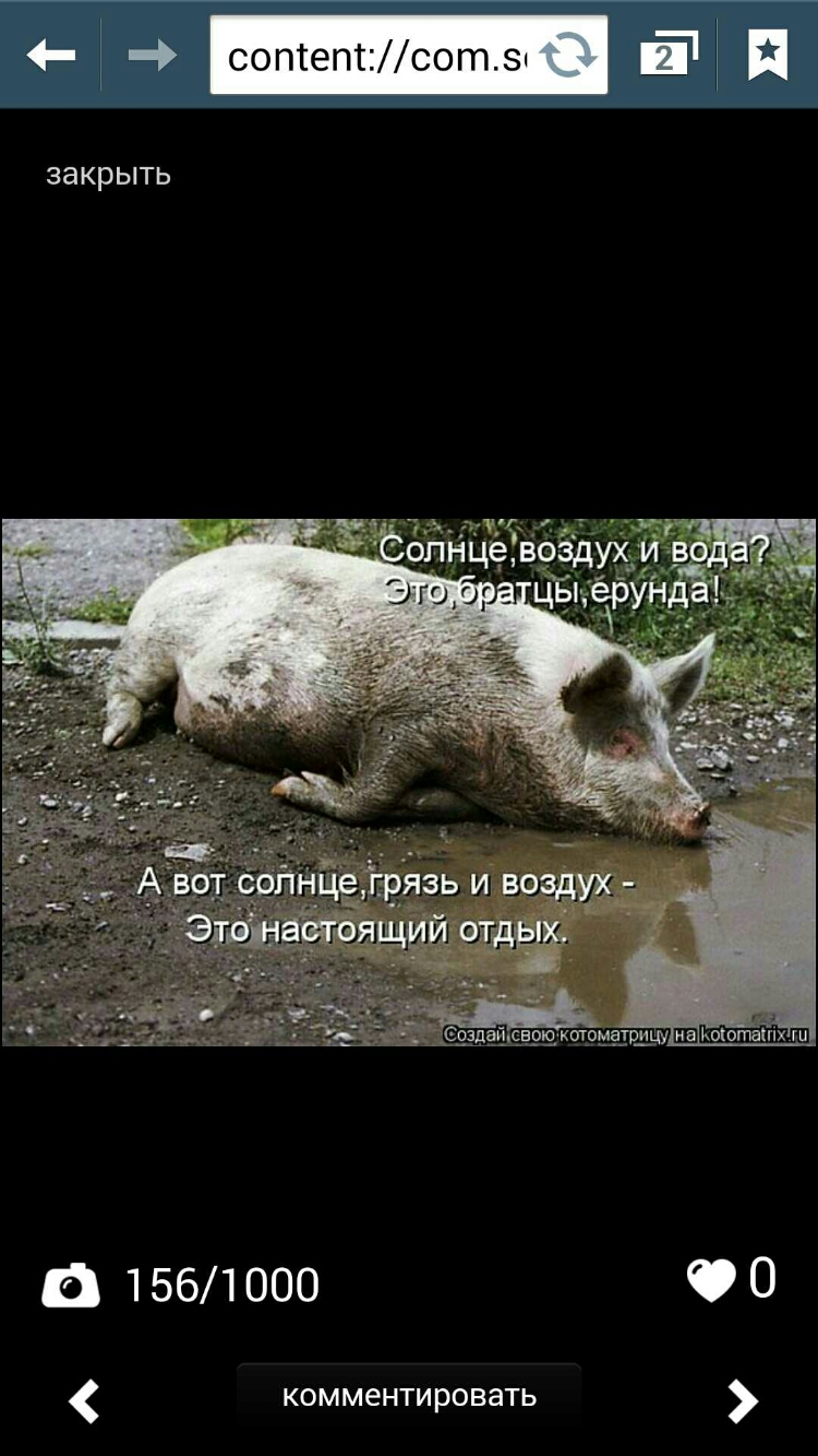 соптептсот5 ЗЗКРЫТЬ а 1561000 О О комментировать