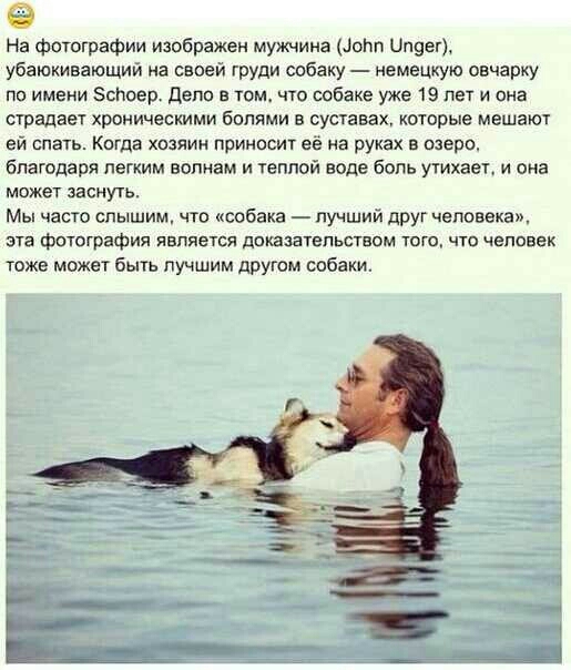 9 На фотографии изображен мужчина депп Цпуег убаюкивающий на своей груди собаку немецкую овчарку по имени Эспиер Депп в том что собаке уже 19 пет и она страдает хроническими болями в суставах которые мешают ей спать Когда хозяин принпсит ее на руках в озеро благодаря легким волнам и теплой воде боль утихает и она может заснуть Мы часто слышим что собака лучший друг человека ата фптырафия является 