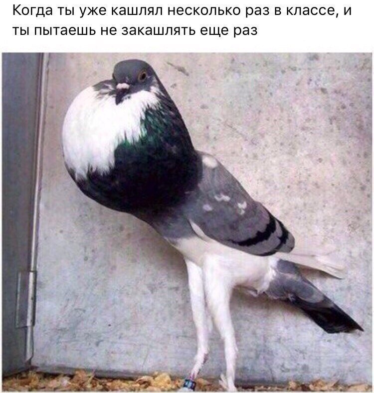 КОГДЭ ТЫ уже КЭШПЯП несколько раз В классе И ТЫ пытаешь не ЗЭКЭШЛЯТЬ еще раз