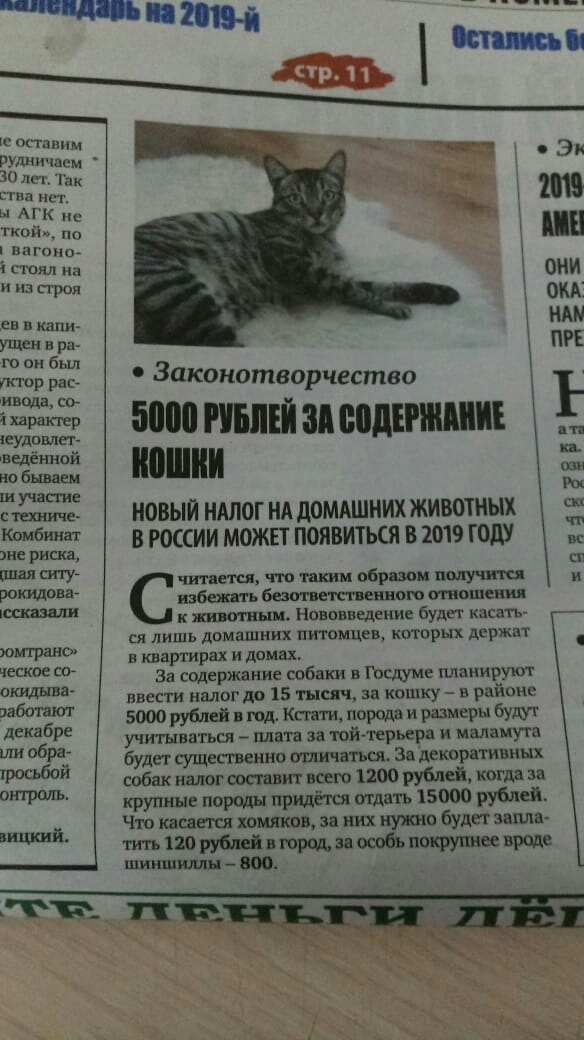 ш ты РУЛПИШРМ 30 лет 11 стин щ т ы АГК ткой_п0 вагоне ь гпял на и на трон св в кипиг Идем в рз го он был штор рас инола со іхаратр чеудовлсг вЕдённой но Бывает участие с матча Комбинат же риска шкал ситу роющоваг тащили юмтранс ческое шащша заботят декабре ши обра й Законотворчество Бапоишйапеодншини пашни Род НОВЫЙ НАЛОГ НА дОМАШНИХ ЖИВОТНЫХ а В РОССИИ МОЖЕТ ПОЯВИТЬСЯ В 2019 ГОДУ гг и читается чт