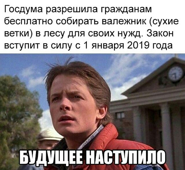 Госдума разрешила гражданам бесплатно собирать вапежник сухие ветки в лесу для своих нужд Закон вступит в силу с 1 января 2019 года ВЕДУЩЕЕ ндстипипо