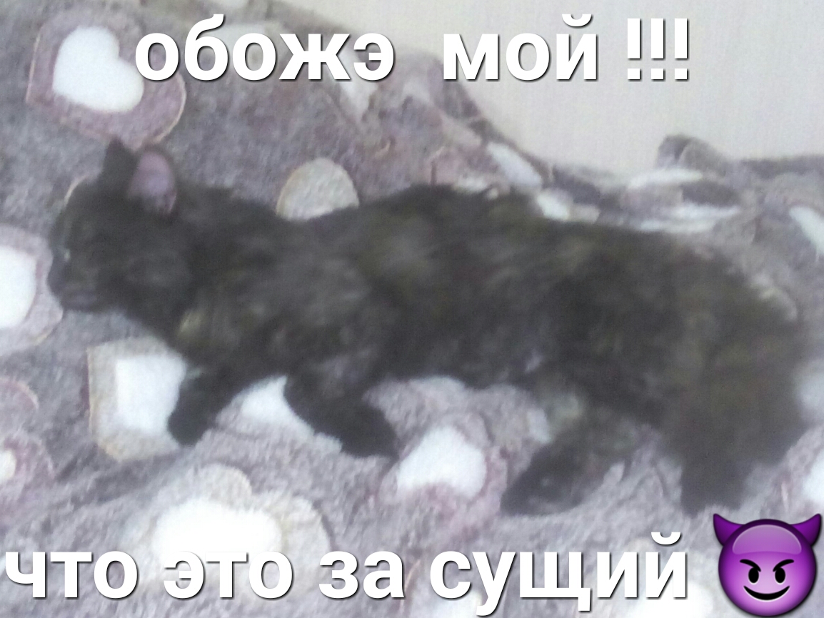 дю эЮ Зг Эуший