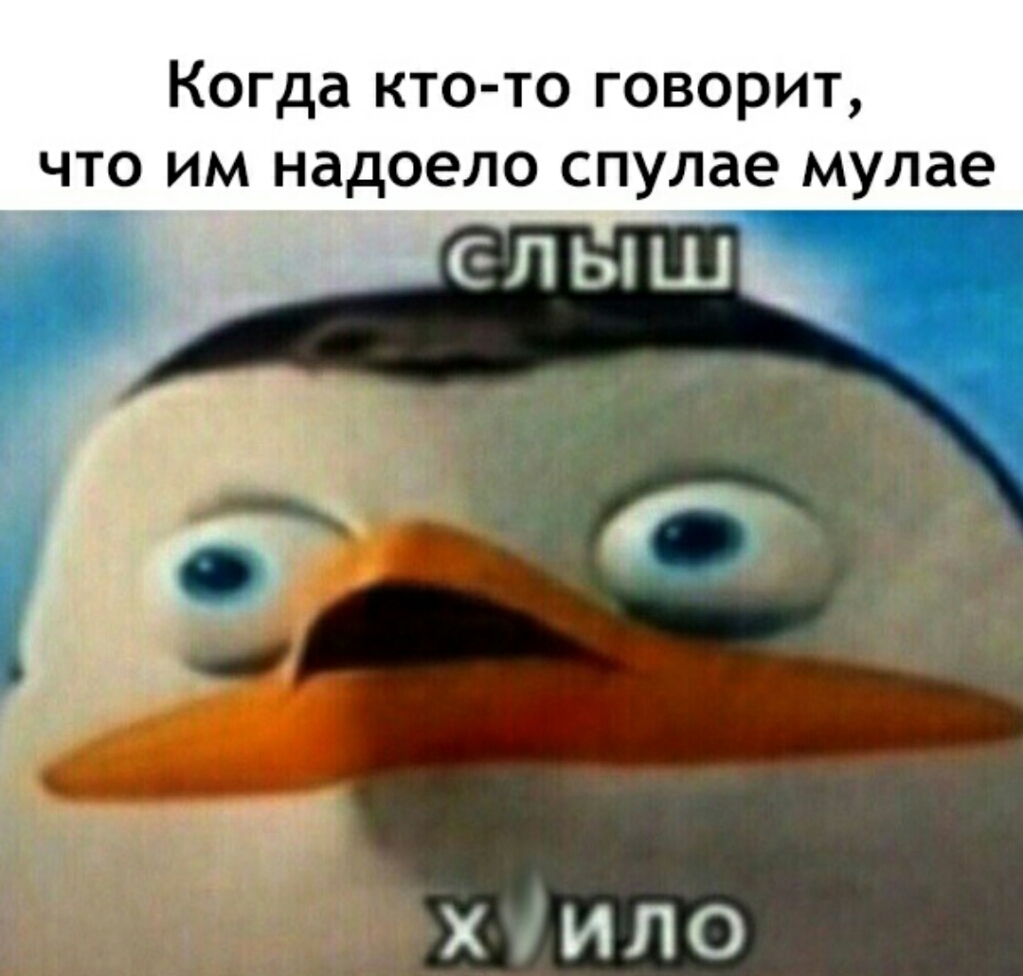 Когда кто то говорит что им надоело спулае мулае