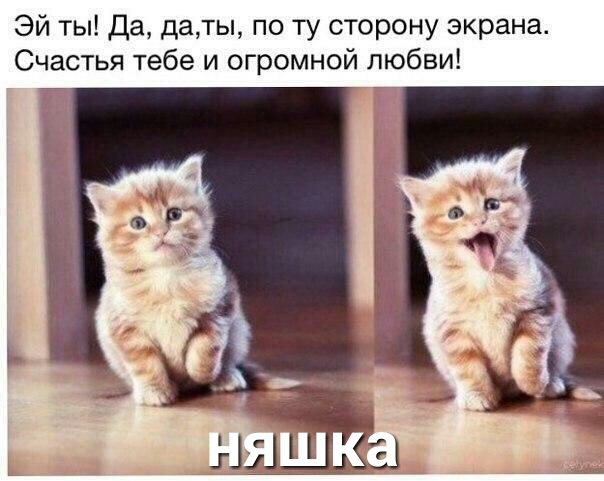 Эй ты Да даты по ту сторону экрана Счастья тебе и огромной любви