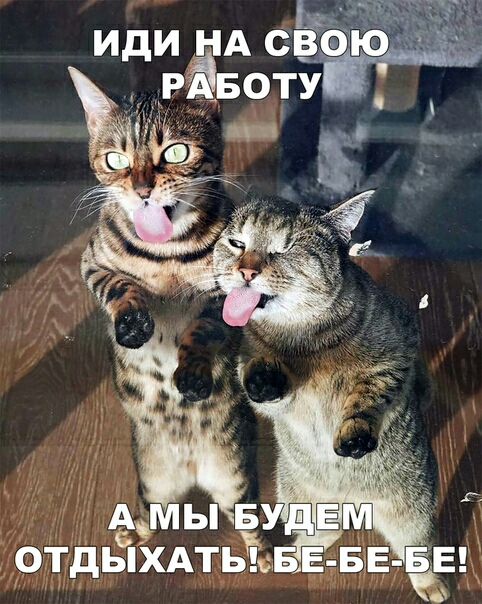 ы в 7 отдыХАтьЁЬЕ БЕ БЕ