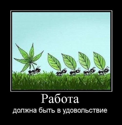 Работа должна бЫТЬ В УДОВОПЬСТВИЭ