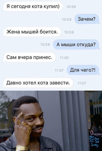 Я сегодня кота купил Зачем Жена мышей боится А мыши откуда Сам вчера принес Для чего Давно хотел кота завести