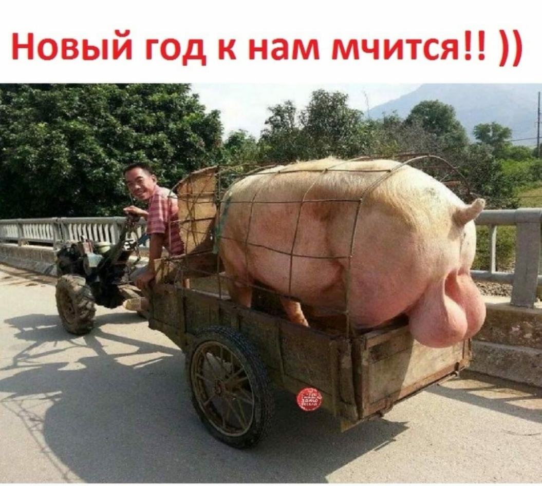 Новый год к нам мчится