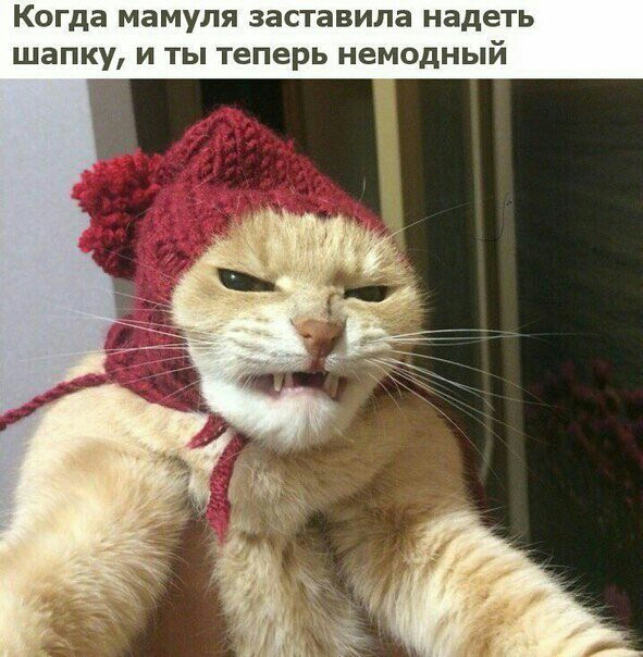 Когда МЗМУЛЯ заставила надеть шапку И ТЫ Теперь НЕМОДНЫЙ