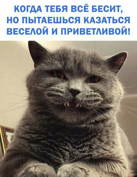 когдА тввя всЁ весит но ПЫТАЕШЬСЯ КАЗАТЬСЯ ВЕСЕАОЙ и приватвой
