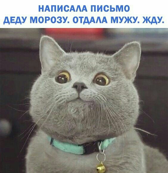 ці
