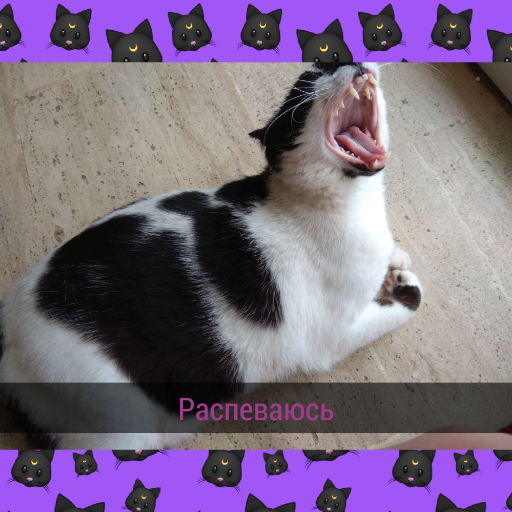 Распеваюсь _ вт А А Ц 4