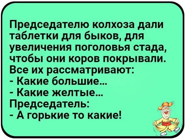 Председателю колхоза дали таблетки для быков для увеличения поголовья стада чтобы они коров покрывали Все их рассматривают Какие большие Какие желтые Председатель А горькие то какие