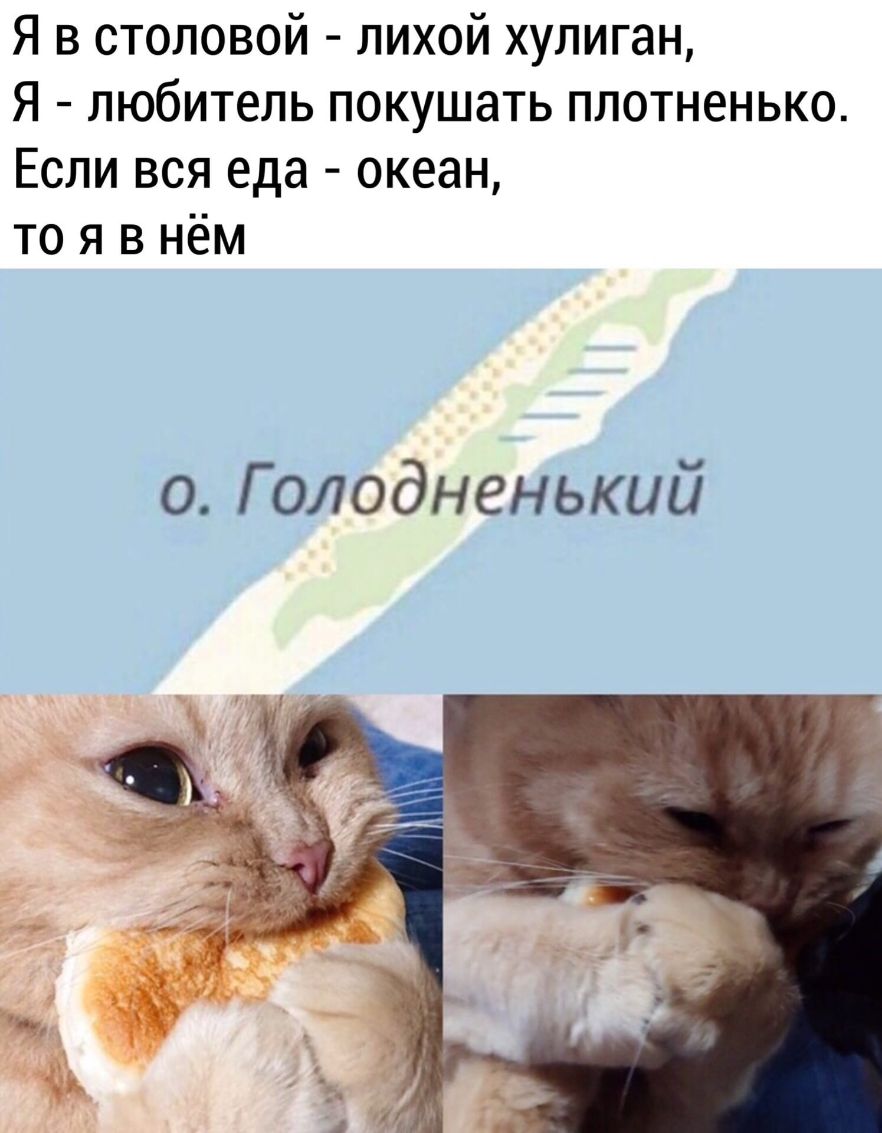 Я в столовой лихой хулиган Я любитель покушать плотненько Если вся еда океан то я в нём 0 Г олодненький